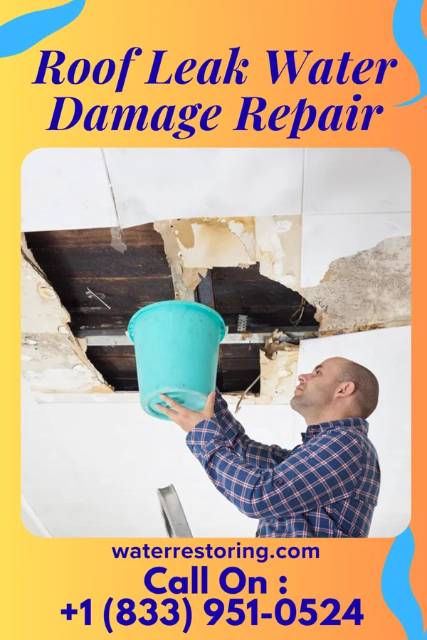 Roof Leak Water Damage Repair in Ohatchee, AL